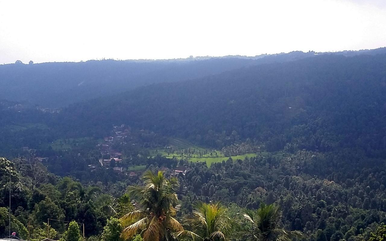 Homestay Bendesa Mas